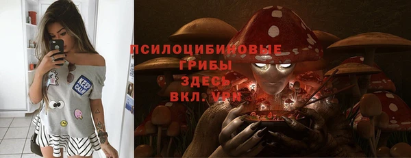 таблы Алзамай