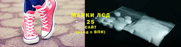 прущий лед Пересвет