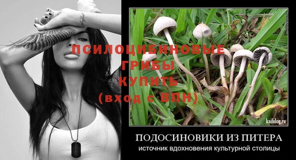 дживик Алексин