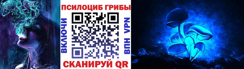 цены   гидра ТОР  Галлюциногенные грибы Cubensis  Полярные Зори 